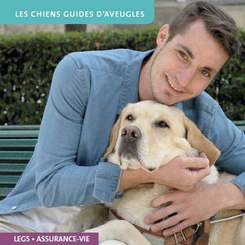 Senioragency-Silver-Marketing-chiens-guides-aveugles